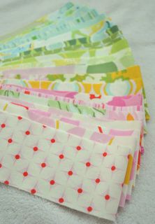 Nicey Jane by Heather Bailey Jelly Design Roll 20   2.5  Quilt Fabric 