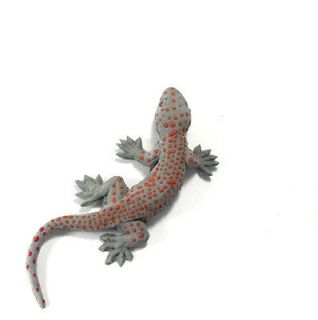Gecko Rubber Tokay Lizard Wall Decoration Art Prank Trick Gag Joke 