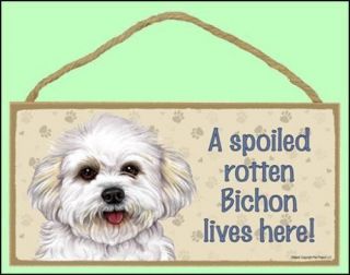   Rotten Bichon (puppy look) Lives Here 10 x 5 Wooden Dog Sign