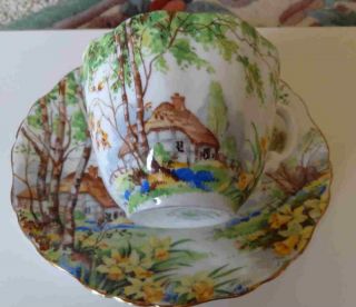 hammersley lorna doone bone china cup saucer expedited shipping 