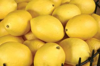   Artificial Fruit Citrus Meyer Lemons Vase Filler Holiday Centerpiece