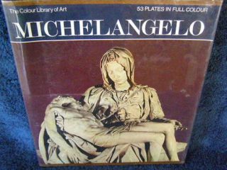 the colour library of art michel angelo 