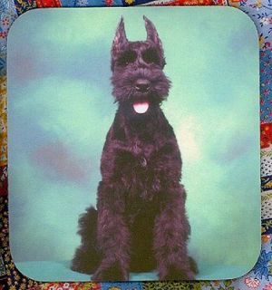 schnauzer giant puppy heavy rubber backed mousepad 0619 time left