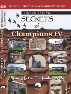 pigeon racing secrets of champions iv winning lofts time left