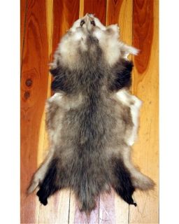 Sporting Goods  Outdoor Sports  Hunting  Taxidermy  Fox & Coyote 