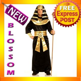C215 Mens Egyptian King Pharaoh Deluxe Halloween Adult Costume