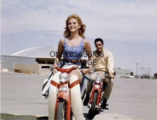 Newly listed 1964 COOL ELVIS PRESLEY CHASES SEXY ANN MARGRET HONDA CUB 