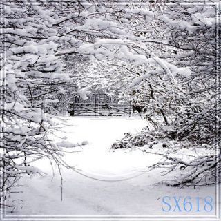   OUTDOOR WINTER 8x8 FT CP SCENIC PHOTO BACKGROUND BACKDROP SX618