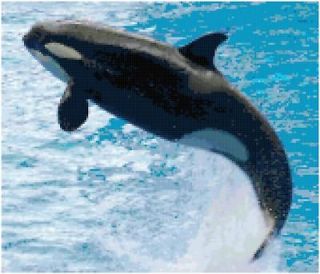 orca killer whale counted cross stitch pattern design time left