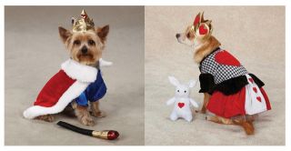 Royalty Costumes for Dogs   Halloween Dog and Puppy Costume   FREE 