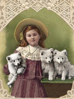 POMERANIAN SPITZ GIRL AND PUPPIES 8 X 10 DOG PRINT MOUNTED READY TO 