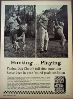 1965 purina dog chow hunting dog vintage dog food ad expedited 