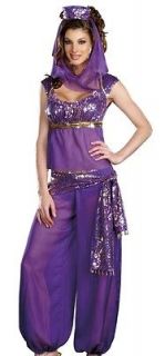 arabian princess genie belly dancer halloween costume