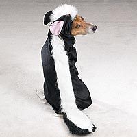 dog skunk halloween lil stinker pup costume xs s m