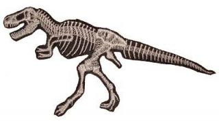tyrannosaurus rex t rex fossil dinosaur iron on patch time