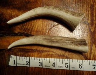   ELK TINES Antler/dog chews horns sheds western vegan craft cabin deer