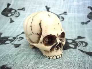   Bone Skull Jawless Shift Knob Human Cranium Shifter Handle Lever