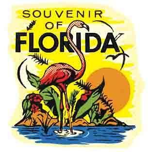 Souvenir Of Florida Flamingo Vintage 1950s Style Travel 