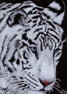   TIGER 7 Bengal big cat kitten painting Sandrine Curtiss Art ACEO PRINT