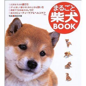 japanese shiba inu dog photo puppy book japan from japan