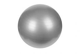 65cm Anti Burst Exercise Balance Ball for Home Gym Workout
