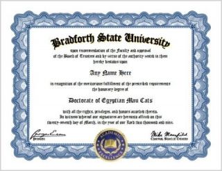 egyptian mau cats diploma cat lover feline owner diploma time