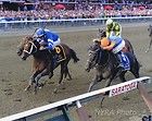   Golden Ticket NYRA Photo 2012 G 1 $1,000,000 Travers Stakes Inner Rail