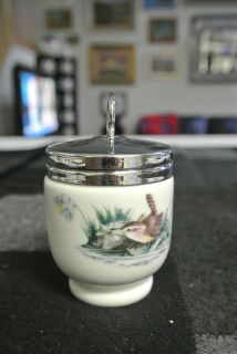 SUPERB Royal Worcester Porcelain BIRDS EGG CODDLER in EXCELLENT 