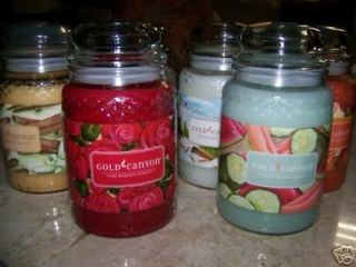 GOLD CANYON Candle LARGE 26z Or 19z U Pick  53 Choices  You Pick Your 