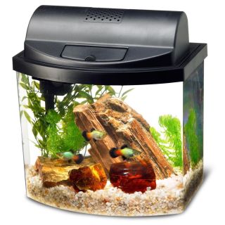 Aqueon Mini Bow Desktop Aquarium 5 Gallons