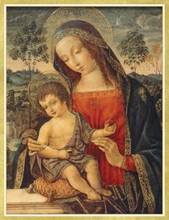 Caspari Madonna with Child Boxed Christmas Holiday Greeting Cards 16ct 