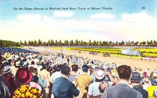 On The Home Stretch at Hialeah Park Race Track Vtg Linen Postcard 