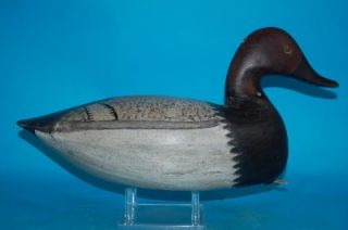 Canvasback Duck Decoy Chincoteague Ira Hudson 1876 1949