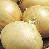 AEROGARDEN Compatible Singles  Walla Walla Onion Seeds Combo 