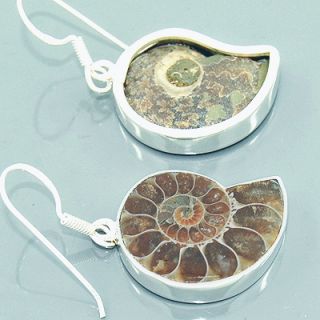 RARE Fossil Ammonite Gemstone 925 Sterling Silver Dangle Earrings 