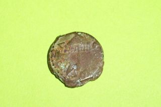 RARE Biblical Coin HEROD AGRIPPA I barley ears old bible treasure 