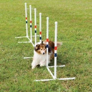 PetSafe Dog Agility Training Weave Poles PDT00 00 1032