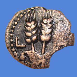 bronze prutah of herod agrippa king of judea L22