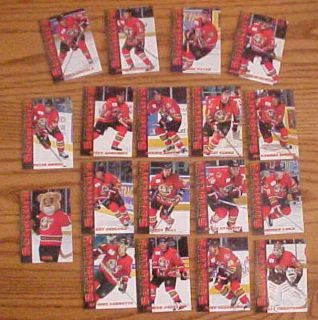 2003 04 AHL Binghamton Senators Hockey Team 24 Card Set