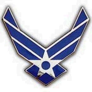 United States Air Force Logo II Wings Lapel / Hat Pin USAF New