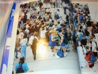 1997 Chandler High School Yearbook Alexa Havins