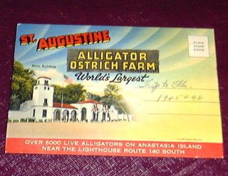 1945 St Augustine Alligator Ostrich Farm Folder 18