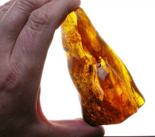 Amazing Large Polished Baltic Amber Stone with Some Small Fossil 
