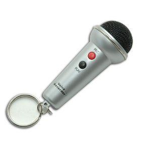   Recorder Keychain Toy Perfect for The Next American Idol