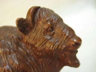 red mill resin pecan shells carved water buffalo figurine