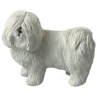 Coton de Tulear Dog Statue Mid Size Figurine Sculpture