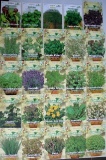 Herbs Seeds New Fresh 2011 from Europe Mediterranean