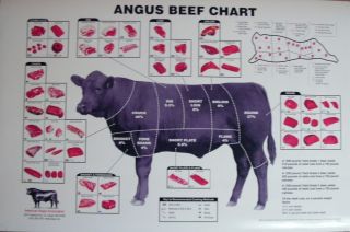 Retail Angus Beef Cuts Chart