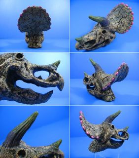 Dinosaur Skull 7.9x4.1x5.5 Aquarium Ornament Decor Aquatic 