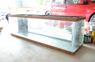 125 Gallon Aquarium Reef Ready with Stand Hood and Lights Pickup 